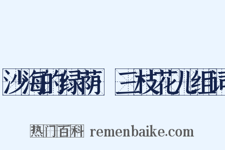 沙海的绿荫·三枝花儿组词是什么意思的图片